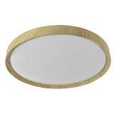 Светильник Uniel ULI-D284 60W/SW/49 Eco