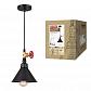 Подвесной светильник Fametto Vintage DLC-V104 E27 Black - фото №2