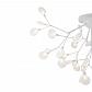 Потолочная люстра Freya Florencia FR5049CL-36W1 - фото №6
