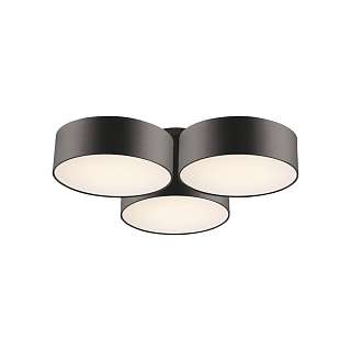 Потолочные светильники Favourite