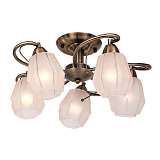 Люстра Silver Light 506.53.5