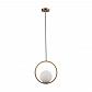 Подвесной светильник Loft IT Glob LOFT2600-A - фото №1
