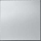 Лицевая панель Gira System 55 переключателя хром 2316605