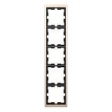 Рамка Schneider Electric MTN4050-6551