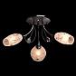 Потолочная люстра MW-Light Фиеста 267013403 - фото №2