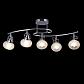 Потолочная люстра Freya Linda FR5690CL-05CH - фото №2