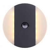 Уличный настенный светодиодный светильник Globo Moonlight 34166S