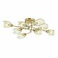 Потолочная люстра Lumion Moderni Lacie 4536/8C - фото №1