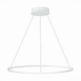 Подвесной светодиодный светильник ST Luce ST604.543.34