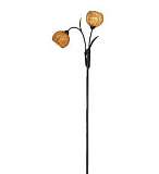 Торшер Lussole GRLSF-6205-02