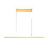 Подвесной светильник Vele Luce Futuro VL7224P01