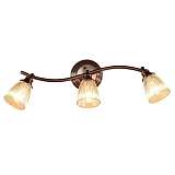 Спот Citilux CL539531