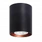 Потолочный светильник TopDecor Tubo8 P1 12C - фото №1