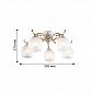 Потолочная люстра F-Promo Adelia 2538-5U - фото №2