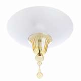 Потолочный светильник Divinare Goccia 4002/01 PL-2