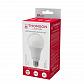 Лампа светодиодная Thomson E27 24W 4000K груша матовая TH-B2352 - фото №2