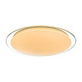 Потолочный светодиодный светильник Globo Sajama 41315-12