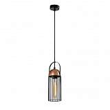 Подвесной светильник Rivoli Anemon 5062-201 Б0047359