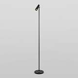 Торшер Eurosvet Joel 80430/1 черный/золото