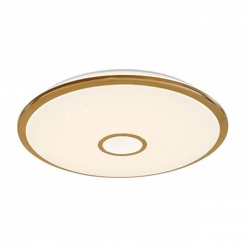 Потолочный светодиодный светильник Citilux СтарЛайт CL703102R