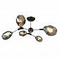 Потолочная люстра Seven Fires Betney SF3330/6C-BK-CR-SMK - фото №1