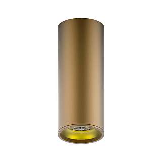 Потолочные светильники Gauss