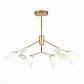 Подвесная люстра Evoluce Mario SLE155902-06 - фото №1