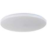 Потолочный светодиодный светильник Arti Lampadari Bianco E 1.13.38 W