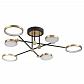 Потолочная светодиодная люстра Odeon Light Denzel 4320/60CL - фото №1