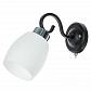 Бра Arte Lamp Krit A4505AP-1BK - фото №1