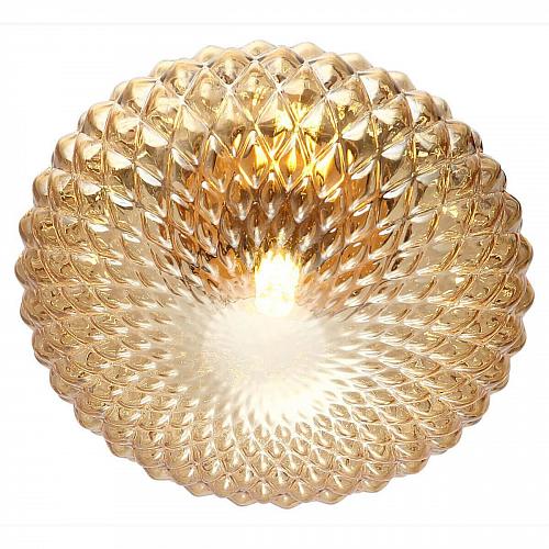 Потолочный светильник Stilfort Roxie 2095/05/01C