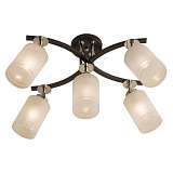 Спот Citilux CL156151