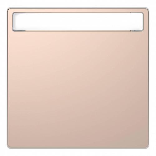 Клавиша одинарная Schneider Electric Merten D-Life MTN3360-6051