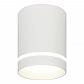 Потолочный светодиодный светильник Escada 20009SMU/01LED SWH - фото №1