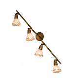 Спот Citilux CL507543