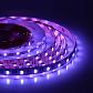 Светодиодная лента Apeyron 14,4W/m 60LED/m 5050SMD разноцветная/холодный белый 5M 00-109 - фото №1