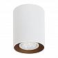 Потолочный светильник TopDecor Tubo8 P1 10G - фото №1