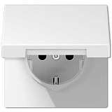 Розетка Jung LS1520KIKLWW