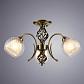 Потолочная люстра Arte Lamp Dolcemente A1607PL-3AB - фото №2