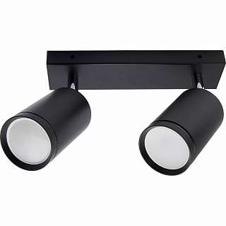 Споты с двумя плафонами Feron