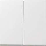 Лицевая панель Gira System 55 выключателя двухклавишного чисто-белый шелковисто-матовый 029527