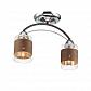 Потолочная люстра Lumion Comfi Filla 3030/2C - фото №1