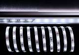 Лента светодиодная Deko-Light 5050-30-24V-6500K-5m 522551