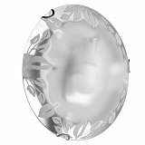 Настенный светильник Arte Lamp Leaves A4020PL-3CC