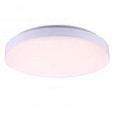 Светильник Globo 41804