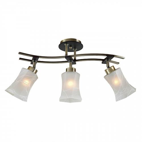 Спот Citilux Мерида CL142133