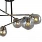Потолочная люстра Seven Fires Kles SF4024/6C-BK-AB - фото №4