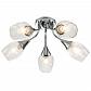 Потолочная люстра Escada Tulip 670/5P - фото №1