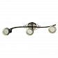 Спот Arte Lamp Focus A5219PL-3BR - фото №1