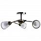 Потолочная люстра Arte Lamp 3 A6056PL-3AB - фото №4